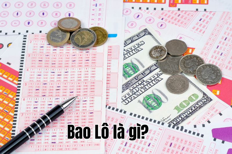 Định nghĩa bao lô là gì?