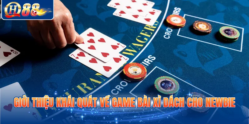 Giới thiệu khái quát về game bài xì dách cho Newbie