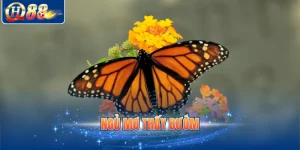Ngủ mơ thấy bướm
