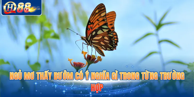 Ngủ mơ thấy bướm có ý nghĩa gì trong từng trường hợp